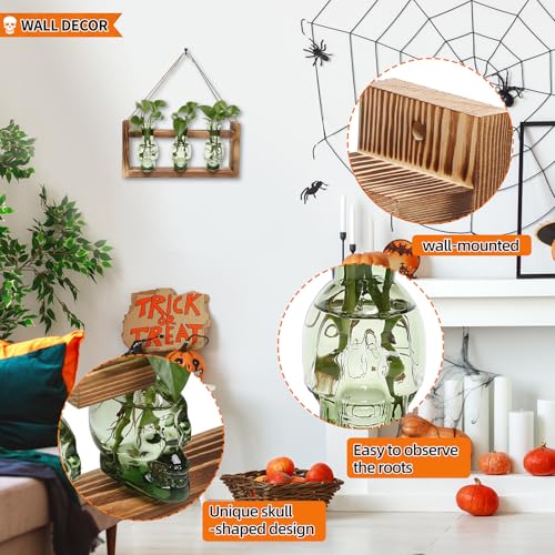 Plant Terrarium Propagation Stations Skull Planter Vase Skulls Decor - color: Green