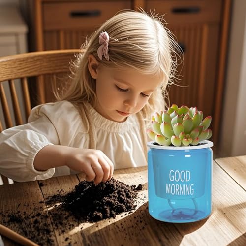 2PCS Self Watering Planters 4.72 Inch Self Watering Pots for Indoor Plants, African Violet Pots with Wick Rope, Flowers, Succulents, Herb, House Plants - color: Blue