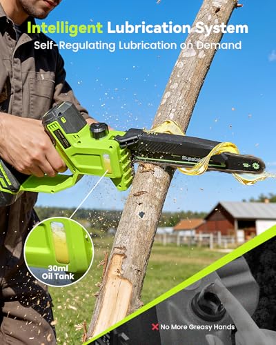 10 Inch Electric Pole Saws for Tree Trimming, 1000W Brushless Pole Saw and Mini Chainsaw 2 in 1, 2*4000mAh Battery, Lightweight Tree Saw with Extension Pole, 16Ft Max Reach Tree Trimmer Branch Cutter - color: Emerald Green