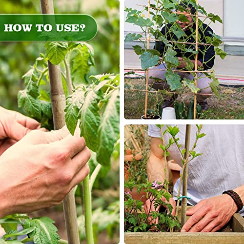 Jollybower 15pcs 3/4" D Thicker Heavy Duty Bamboo Stakes, 7FT Plant Stakes, Natural Garden Stakes for Tomato, Bean, Flowers,Trees Potted and Climbing Plant Support - size: 7Ft, Pack of 15