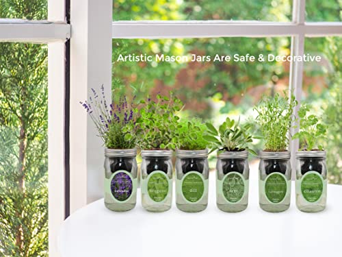 Hydroponic Herb Growing Kit, Self-Watering Mason Jar Herb Garden Starter Kit Indoor, Windowsill Herbs Garden, Grow Your Own Herbs from Organic Seeds (Chamomile) - color: Chamomile