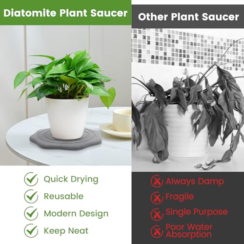 Plant Saucer for Indoors, 2 Packs 8 12 inch, Diatomaceous Earth Pot Saucers No Holes, Instant Dry Plant Drainage Trays for Pots, Dark Gray - size: 8+12inch