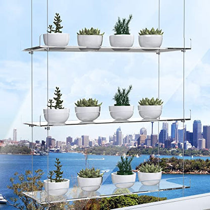 3-Tier Hanging Acrylic Plant Shelves for Windows - color: 3 Tier