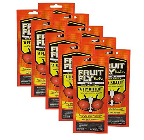 Fruit Fly BarPro – 4 Month Protection Against Flies, Cockroaches, Mosquitos & Other Pests – Portable for Indoor & Outdoor Use - size: 10 Pack