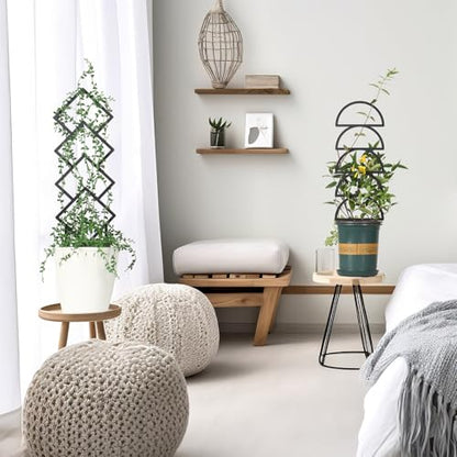 4 Pcs Plant Trellis Indoor Black Small Trellis for Potted Plants - style: Style 2