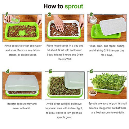 SUNPRO 2-Pack Seed Sprouter Tray with Humidity Lid, BPA Free Food Grade Soil-Free Sprouting Kit, Large Capacity Wheatgrass Grower & Microgreens Germination Station for Beans, Peas, Cat Grass (Green)