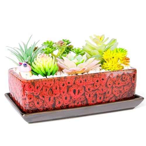 Succulent Pots - Long Rectangle Succulent Planters with Drainage Tray - color: Red