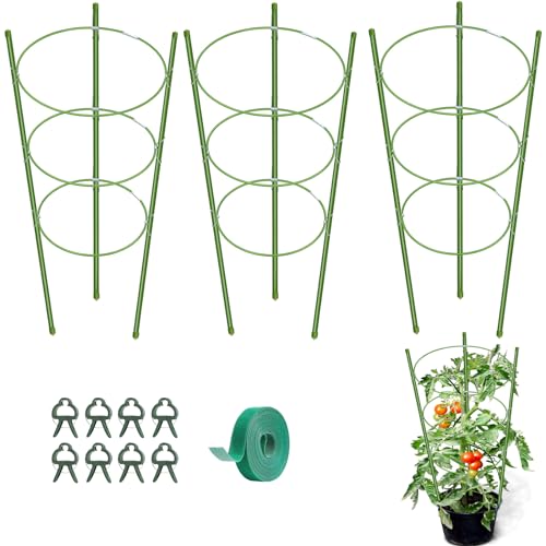 KLS 3 Pack Tomato Cage for Pots Plant Support, Upgrade 24 Inches Tomato Cages for Garden, Pepper Cage Trellis Kit with Plant Tie and Clips (24") - size: 24"