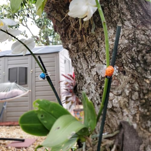 30 Pcs Colorful Ladybug Orchid Clips, Garden Plant Vine Support Clips Flower Clips