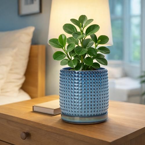 D'vine Dev Beaded Ceramic Pot with Saucer, 6 in, Ocean Teal, 27-C-X-8 - color: Ocean Teal, size: 5.8 Inch