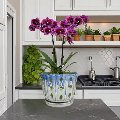 Ceramic Orchid Pot with Drainage Hole 6'' Orchid Planter (Blue Cover White) - color: Blue Over Cream