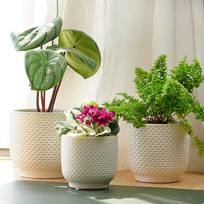 4 + 5 + 6 Inch Ceramic Pots for Indoor Plants, Succulents Plant Pots, Orchid Flower Pot with Drainage Hole, Modern Clay Stoneware Planters, Set of 3 (Milk White, 4+5+6 Inch) - color: Milk White