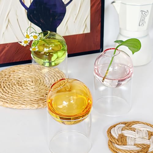 3-Pack Desktop Glass Planter Hydroponics Vase & Plant Propagation Station with Removable Stand | Colorful Glass Vase Set - Green, Pink, Amber - color: Amber + Green + Pink