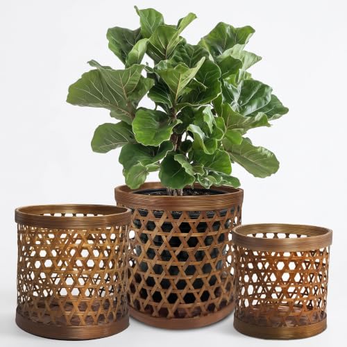 Handcrafted Bamboo Tabletop Decorative Plant Pot Covers - Multi Set of 3 – for Indoor Plants, Orchids, Succulents – Natural Handmade Thai Bamboo Plant Basket
