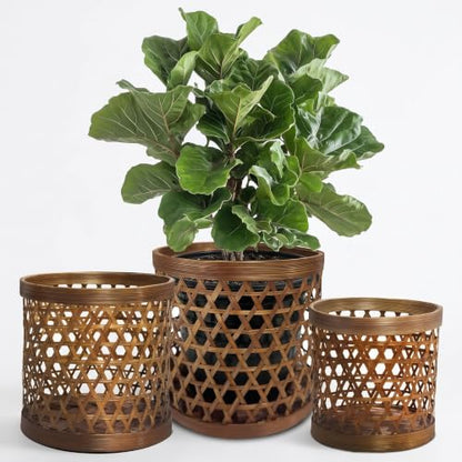 Handcrafted Bamboo Tabletop Decorative Plant Pot Covers - Multi Set of 3 – for Indoor Plants, Orchids, Succulents – Natural Handmade Thai Bamboo Plant Basket