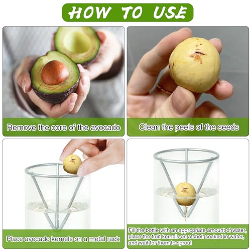 Bylion 2 Pack Avocado Growing Kits Avocado Seed Starter - color: Silver