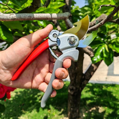 Ultra Sharp Germany Titanium Steel Pruning Shears - Cuts 3X Easier, Weak Hand Arthritis Snips, Rust-Resistant, Effortlessly 1-Inch Cut Capacity Garden Scissors, Ergonomic Handle (gt-04, 1) - color: Red/Grey/Gold