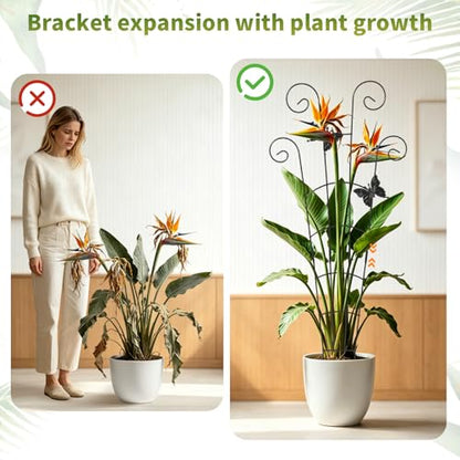 30" Metal Plant Trellis 2 Pack, Adjustable Height for Potted Plants