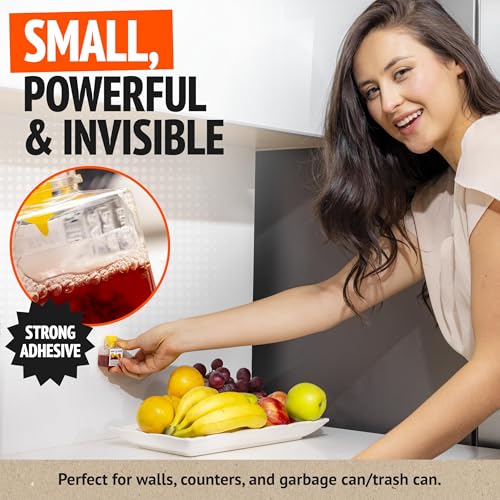 Super Ninja Fruit Fly Traps for Indoors, 6 Pack - size: 6 Traps