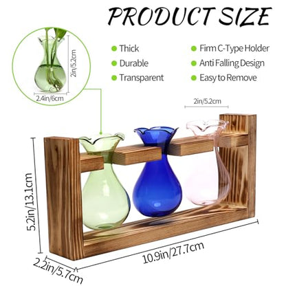 Plant Propagation Station Plant Terrarium Unique Birthday Gifts for Women - color: Color01