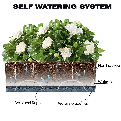 Self Watering Planters Pots for Indoor Plants, 2 Pack 17 Inch Plastic Planter Box Flower Pots for Indoor Outdoor Plants, Rectangle Herb Planter Window Boxes Planters with Drainage, Dark Gray Tray - color: Dark Gray, size: 17 Inch (2 pcs)