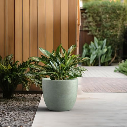 Kante Accent Round Bowl Mint Green Concrete Planter 14" Dia, Outdoor - color: Mint Green, size: 14"d