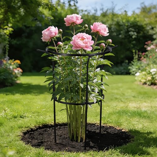 VICAMB 3 Pack Large Peony Cages and Supports,28" H x 17" D Grow Through Plant Support Rings,Plastic Rings with Stainless Steel Core Stakes for Peonies,Roses and Top-Heavy Blooms