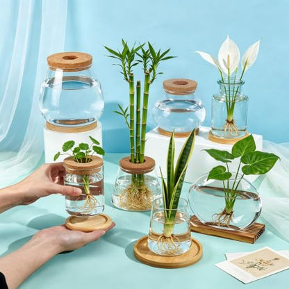 6PCS Plants Propagation Stations Glass Propagation Vases Jar, Planter Terrariums with Wooden Lid and Bamboo Stand Desktop, Hydroponic Vase for Plant Growing Home Office Tabletop Decor