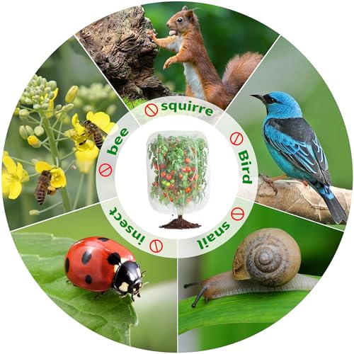 afzdby Garden Mesh Netting with Drawstring,Plants Cover Protection from Anti Birds,Bugs,Cicadas,and Insects-Pest Barrier Bag for Blueberry Bushes,Citrus,Tomatoes,Vegetables,Fruit Tree and Orange - size: 3.94×4.92FT
