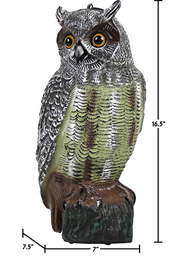 Owl Decoys to Scare Birds Away Plastic Owl Statue 16.5" Tall [Pack of 2]