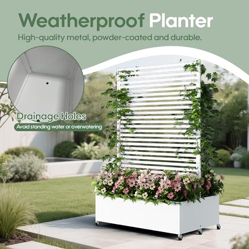 Double Metal Planter Box with Trellis Privacy Screen, Raised Garden Bed with Trellis & Wheels, Planter Box Outdoor with Drainage Holes for Climbing Plants, Vines,73"x 47"x 30", White - color: White, size: 73"x 47"x 30"