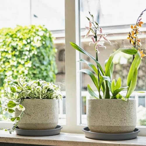 2Pcs 6 Inch Plant Saucer Drip Tray, Clear Plastic Flower Pot Saucers, Thicker Anti-Rot Root Water Catcher Tray for Indoor Outdoor Planters, Heavy Sturdy Pot Base Plate Grey - color: Gray