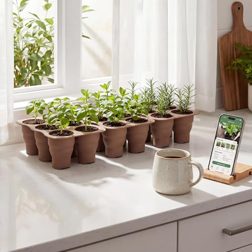 Collapsible Silicone Seed Starter Tray, 6 XL Flexible Pop-out Cells for Easy Transplant, Reusable & Multi-Season Durable Windowsill Seedling Tray, Space-Saving Starter Kit for Vegetables & Herb