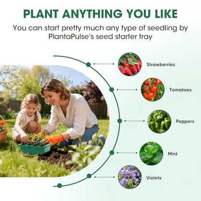 Seed Starter Kit with Humidity Dome, 5 Packs 60-Cell Trays - size: 60-Cell Seed Starter Kit with Humidity Dome 5 Pack