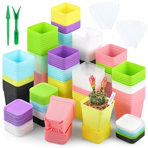 Hahood 160 Pieces Square Flower Plant Pots 3 Inch Flower Seedling Nursery Pots with Pallet Colorful Mini Plastic Planters with Labels and Tools for Room, Garden, Office and Balcony, 8 Colors