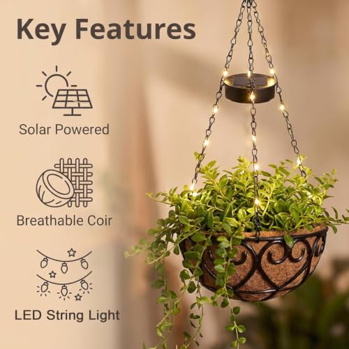 Neioaas 2PCS Solar Hanging Flower Baskets with Light 10 Inch for Outside