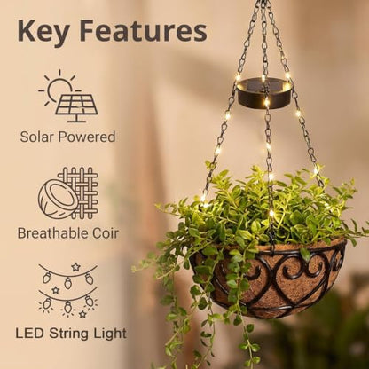 Neioaas 2PCS Solar Hanging Flower Baskets with Light 10 Inch for Outside