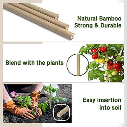 Plant Stakes,12IN Natural Garden Bamboo Sticks, 20Pcs Plant Support Stakes - size: 12 Inches, Pack of 20