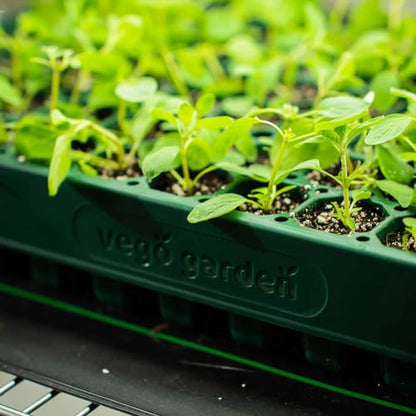 Vego garden 10"" x 20"" 76 Cells Seed Starter Tray Stackable Seedling Starting Germination Trays for Plants Planting Vegetables Herbs Flowers, Green