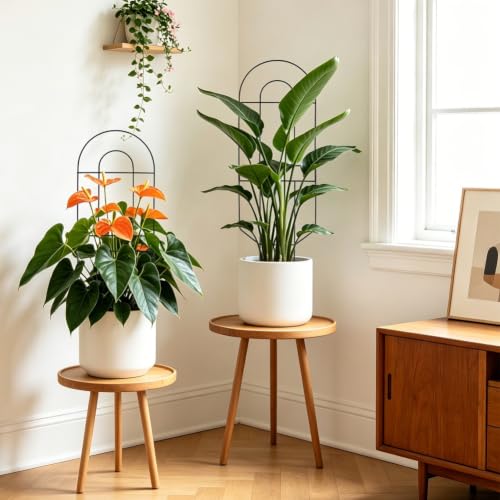Metal Trellis for Potted Plants 30 Inch，Tall Plant Support for Indoor & Outdoor Use Modern Decorative Garden Trellis for Climbing Plants, 2 Pack - size: 30 Inch 2 pack