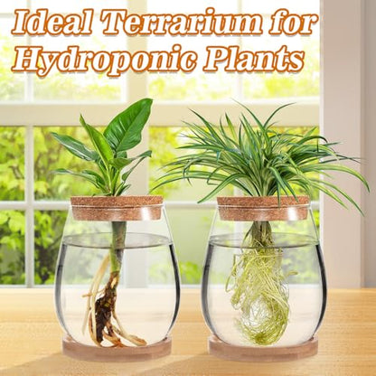 Biggun 2 Pcs Glass Plants Propagation Stations for Home Office Decor