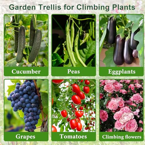 Garden Arch Trellis for Climbing Plants Outdoor, Garden Arch for Climbing Vine Vegetable/Fruit/Flower, Cucumber Trellis for Raised Bed (15.7x47in)