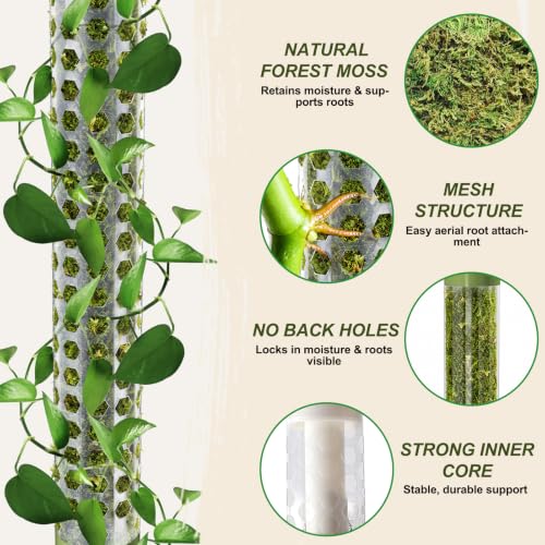 Moss Pole Monstera Plant Support 55 Inch, Stackable Sphagnum Moss Poles Sticks for Climbing Plants Indoor 4 Packs 17 Inch Plant Stakes for Garden Potted Plants, Pothos, Philodendron, Green