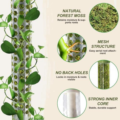 Moss Pole Monstera Plant Support 55 Inch, Stackable Sphagnum Moss Poles Sticks for Climbing Plants Indoor 4 Packs 17 Inch Plant Stakes for Garden Potted Plants, Pothos, Philodendron, Green