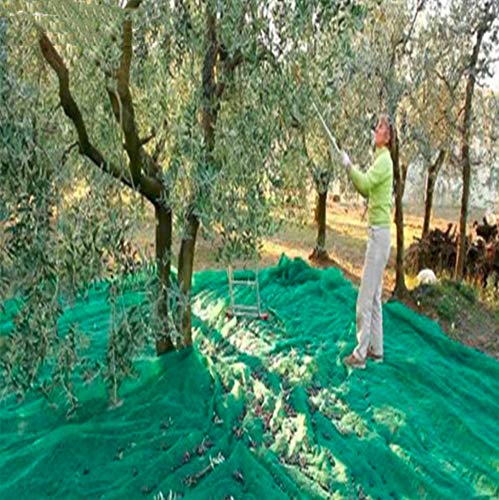 Ez4garden Fruits Harvest Collecting Netting Walnut Olive Chestnut Plum Hazelnut Picking Collector Net,Size:L26.2'xW39.3'(8x12m) - size: L26.2'xW39.3'(8x12m)