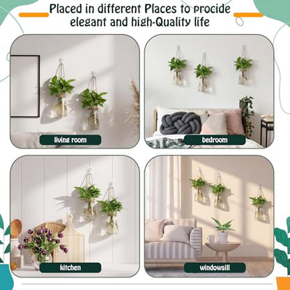 Baderke 9 Sets Window Hanging Propagation Stations 3.35'' Plastic Propagation Vases with Suction Cup & Traceless Nail, Propagated Holder Wall Jars for Office Garden Decoration Gift - style: Classic