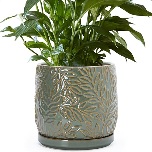 D'vine Dev Embossed Leaves Ceramic Planter, 8 in, Olive, 27-A-Q-0 - color: Olive, size: 8 Inch
