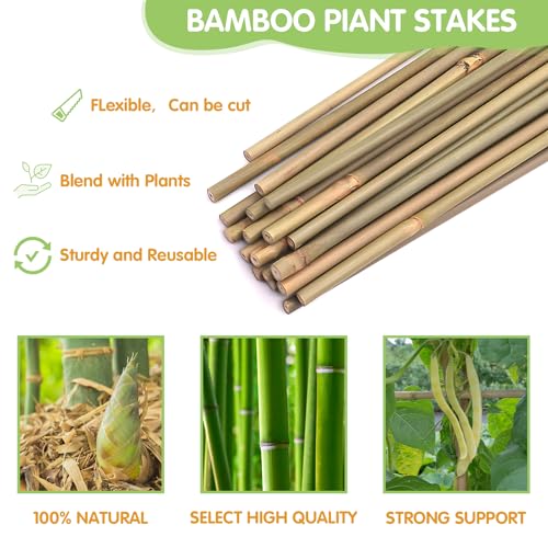 GAGINANG Natural Bamboo Garden Stakes, 3FT Trellis Plant Support 25Pcs - size: 3Ft,Pack of 25