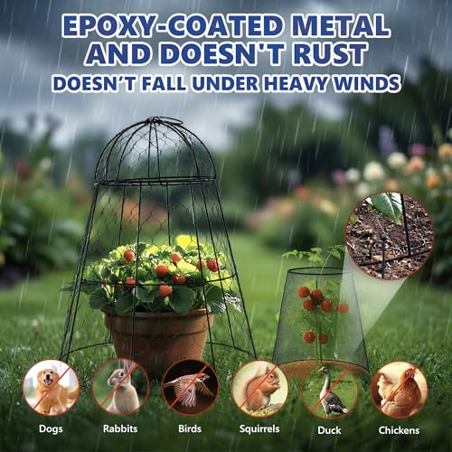 Garden Cloches for Plants, Chicken Wire Plant Cages, Plant Protectors from Animals, Combo Pack, 12 Pcs (6 Large 17.7" × 12.8" + 6 Small 5.87" × 9") - size: Set of 6+6