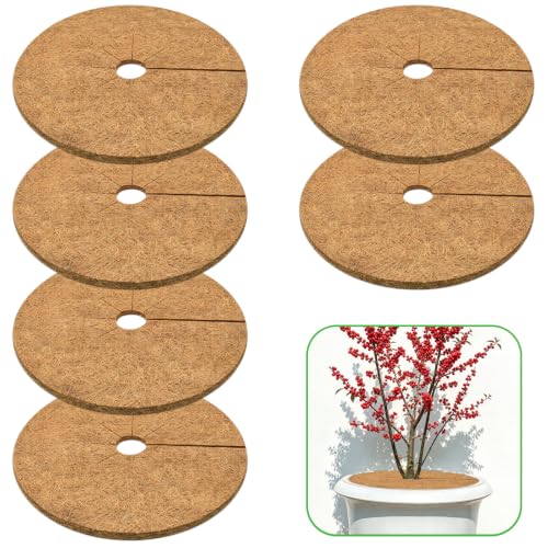ZeeDix 18 Inch Coconut Fiber Tree Ring Mulch Mat, 6 Pack Tree Mulch Ring - color: 6 Pack, size: 18 Inch